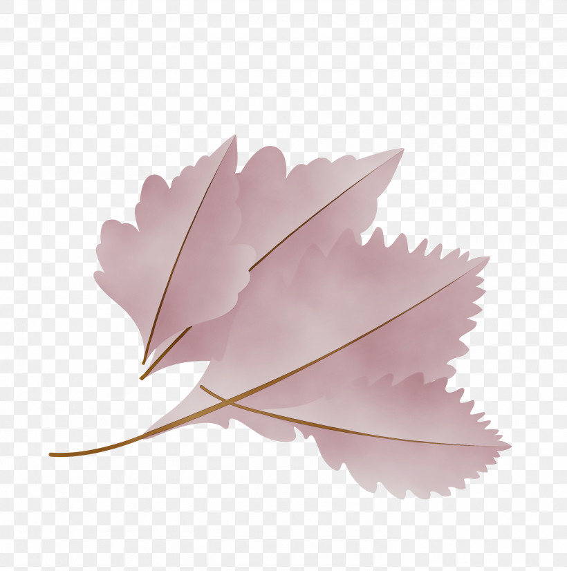 Leaf Petal M-tree Tree Biology, PNG, 2976x3000px, Autumn Leaf, Biology, Cartoon Leaf, Fall Leaf, Leaf Download Free