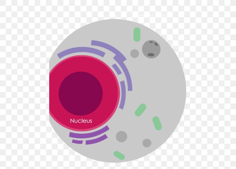 National University Of Singapore International Genetically Engineered Machine Product Cell Nucleus, PNG, 478x588px, National University Of Singapore, Biological Membrane, Biomolecule, Cell, Cell Death Download Free