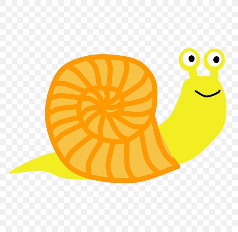 Snail Clip Art, PNG, 800x800px, Snail, Area, Blog, Email, Food Download Free