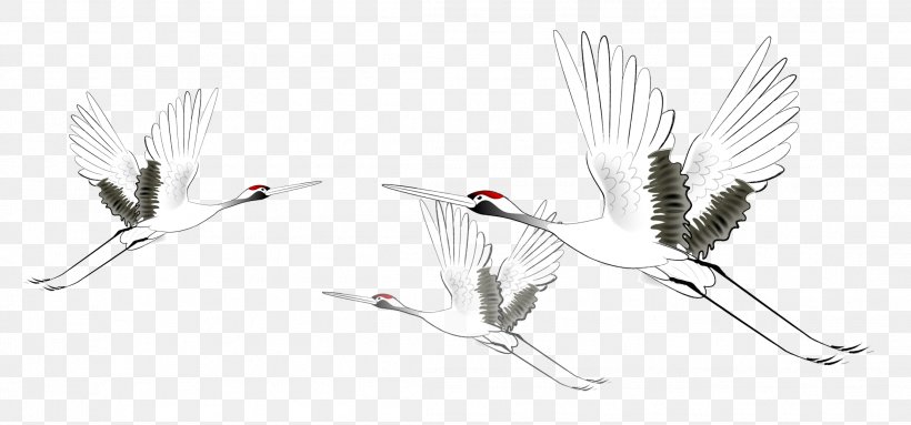 Crane Wind Ink Computer File, PNG, 2219x1037px, Crane, Black And White, Cable, Cutlery, Designer Download Free