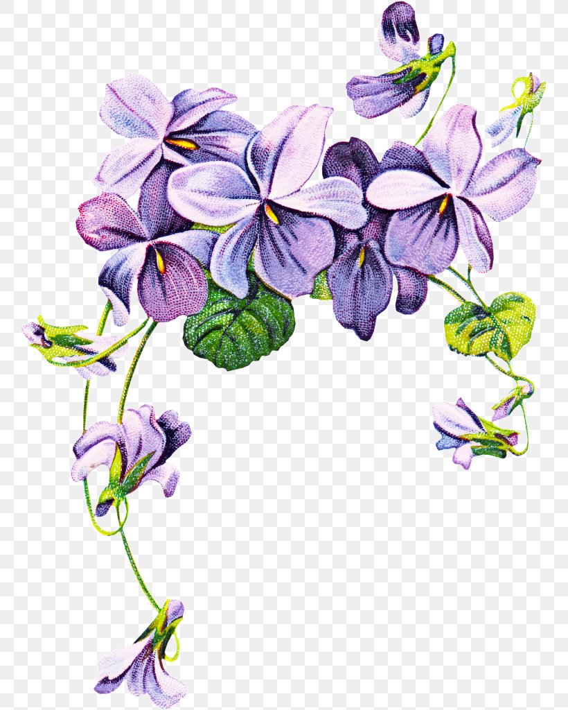 Drawing Of Family, PNG, 761x1024px, African Violets, Bellflower, Bellflower Family, Blue Violet, Columbine Download Free