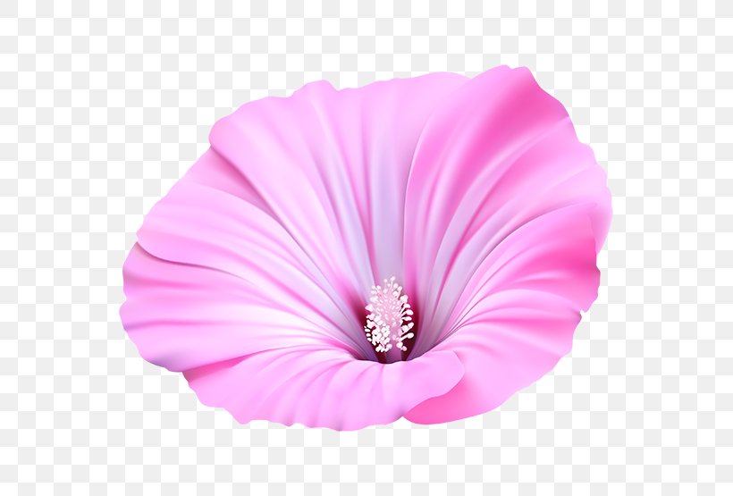 Flower Painting Petal Acrylic Paint, PNG, 555x555px, Flower, Acrylic Paint, Blog, Electrical Cable, Film Download Free