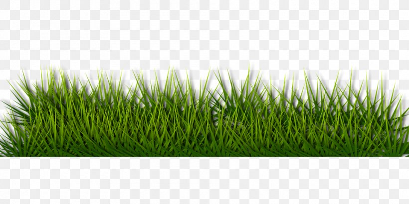 Unitarian Universalist Church On Demand Lawn Care, PNG, 960x480px, Unitarian Universalist Church, Artificial Turf, Bit, Dog Hiking, Grass Download Free