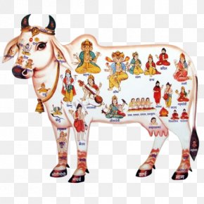 Cattle In Religion And Mythology Krishna Kamadhenu God, PNG, 1000x866px,  Cattle In Religion And Mythology, Animal Figure, Cattle, Cattle Feeding,  Cattle Like Mammal Download Free