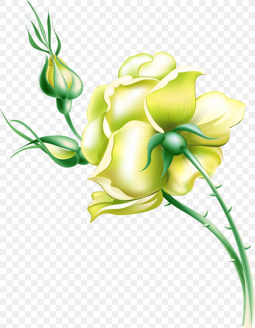 Flower Drawing, PNG, 933x1200px, Flower, Art, Branch, Bud, Cut Flowers Download Free