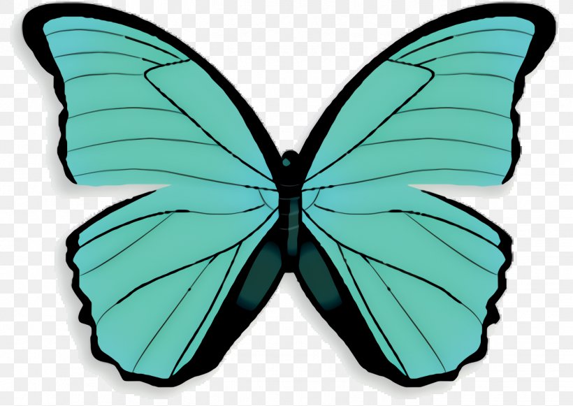 Monarch Butterfly Drawing, PNG, 1348x956px, Monarch Butterfly, Alpine Black Swallowtail, Borboleta, Brushfooted Butterflies, Brushfooted Butterfly Download Free
