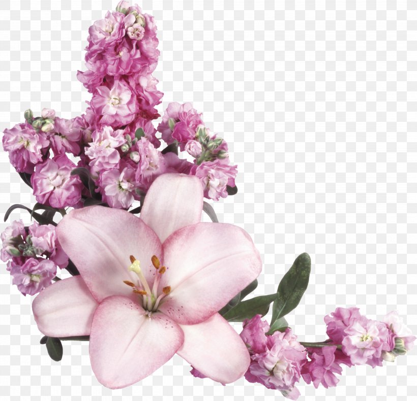 Pink Flowers Clip Art, PNG, 3769x3633px, Flower, Blossom, Branch, Cherry Blossom, Cut Flowers Download Free