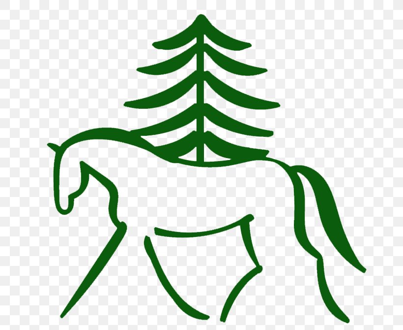 Southern Pines Riding School Whitney Weston Eventing Clip Art, PNG, 798x670px, Southern Pines, Artwork, Branch, Christmas, Christmas Tree Download Free