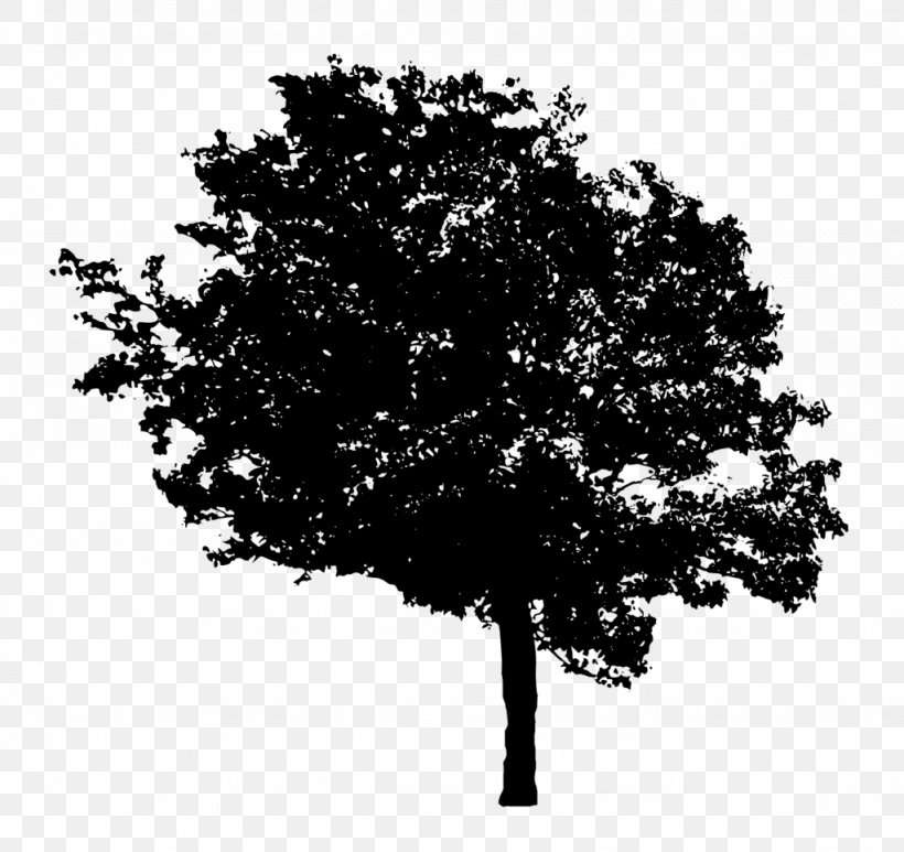 Tree Desktop Wallpaper, PNG, 1024x966px, Tree, Black And White, Branch, Display Resolution, Image File Formats Download Free