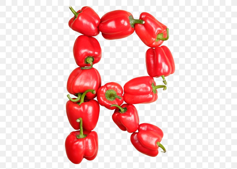 Habanero Piquillo Pepper Tabasco Pepper Bell Pepper Cayenne Pepper, PNG, 527x583px, Habanero, Acerola, Acerola Family, Bell Pepper, Bell Peppers And Chili Peppers Download Free
