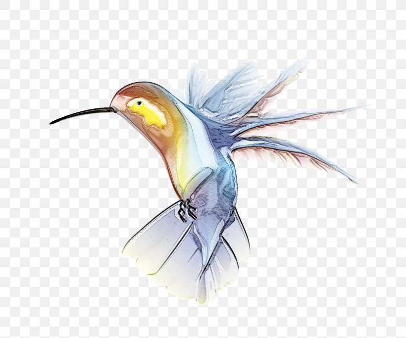 Hummingbird, PNG, 1800x1500px, Bird, Beak, Coraciiformes, Feather, Hummingbird Download Free