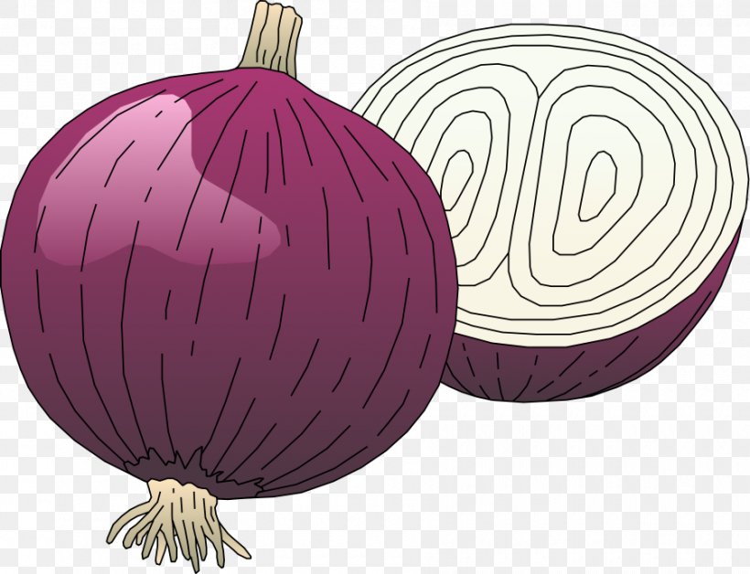 Red Onion Free Content Clip Art, PNG, 900x690px, Onion, Flowering Plant, Food, Free Content, Fruit Download Free