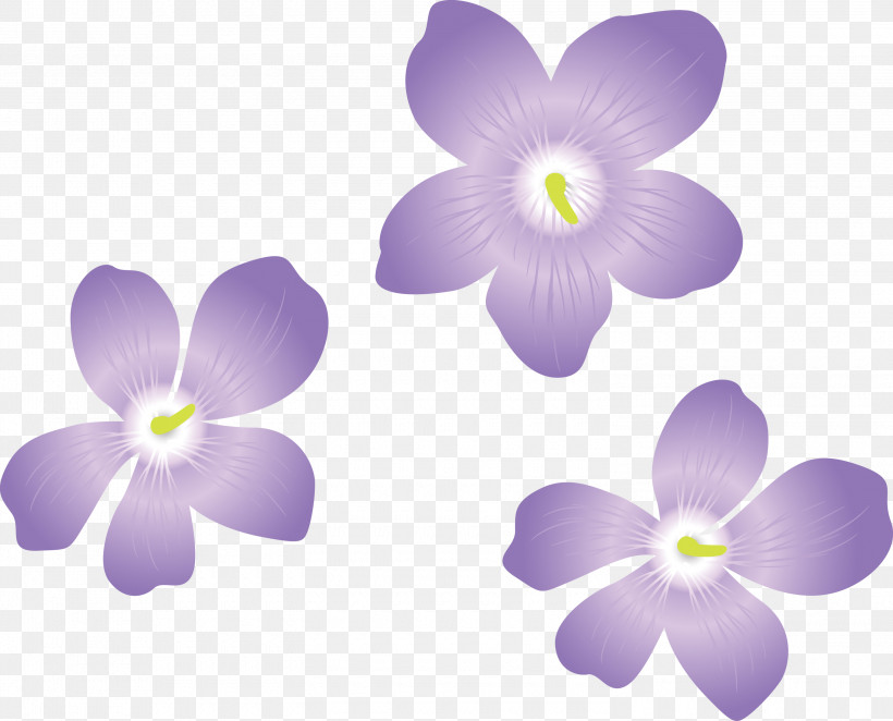 Violet Flower, PNG, 3000x2422px, Violet Flower, Biology, Computer, Flower, Lavender Download Free