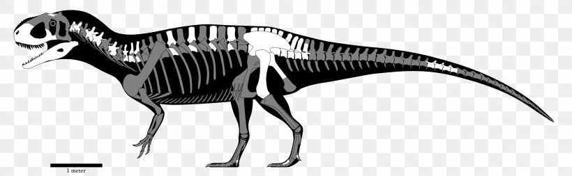 Yangchuanosaurus Sinraptor Mapusaurus Dinosaur Size Giganotosaurus, PNG, 4600x1420px, Yangchuanosaurus, Allosaurus, Amphicoelias, Animal Figure, Beak Download Free