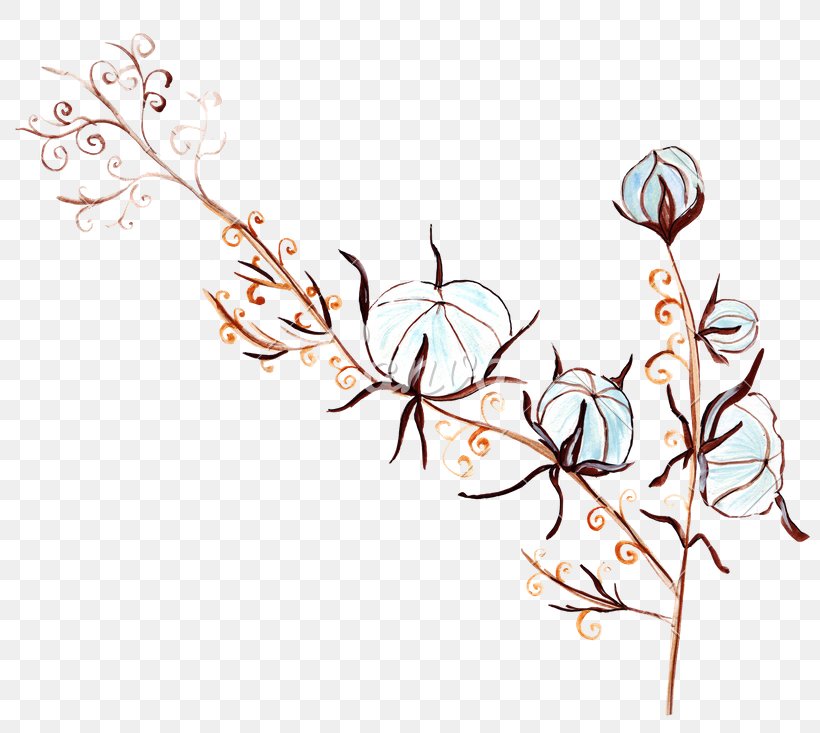 Clip Art Drawing Flower Image Illustration, PNG, 800x733px, Drawing, Art, Botany, Branch, Cartoon Download Free