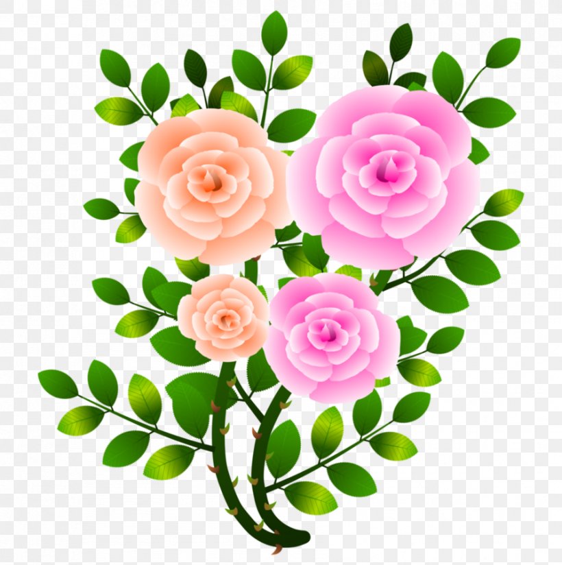 Garden Roses Cabbage Rose Cut Flowers, PNG, 891x896px, Garden Roses, Blog, Branch, Cabbage Rose, Cut Flowers Download Free