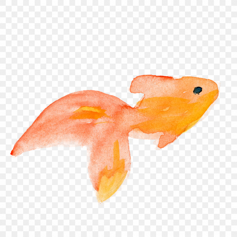 Orange, PNG, 1000x1000px, Watercolor Fish, Feeder Fish, Fin, Fish, Goldfish Download Free