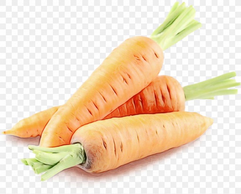 Carrot Food Vegetable Root Vegetable Prawn Roll, PNG, 1383x1116px, Watercolor, Carrot, Daikon, Food, Ingredient Download Free