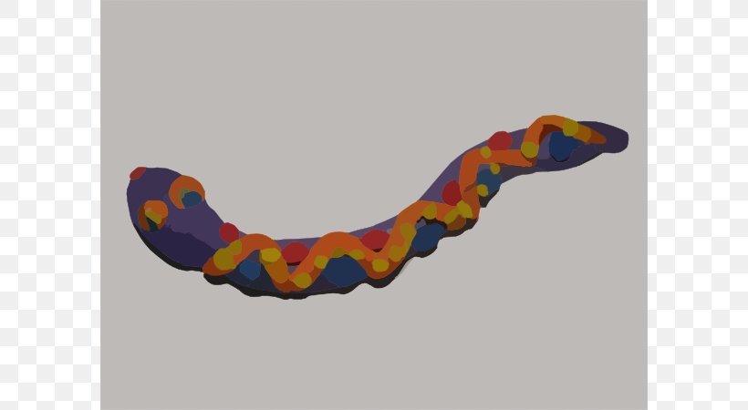 Coral Snake Play-Doh Copperhead Clip Art, PNG, 600x450px, Snake, Black Rat Snake, Copperhead, Coral Snake, Dough Download Free