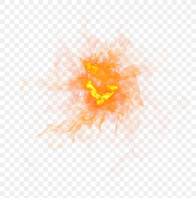 Light Flame Fire Euclidean Vector, PNG, 2420x2448px, Light, Combustion, Element, Fire, Flame Download Free
