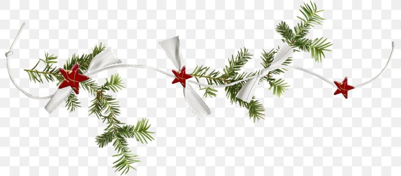 Christmas Ornament, PNG, 800x360px, Christmas, Animation, Birthday, Blog, Branch Download Free