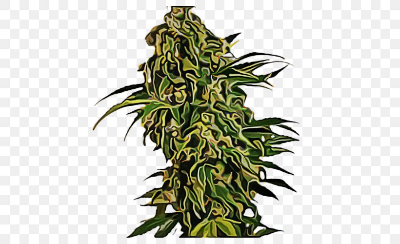 Cannabis Leaf Background, PNG, 500x500px, Skunk, Autoflowering Cannabis, Cannabis, Cannabis Cup, Cannabis Ruderalis Download Free