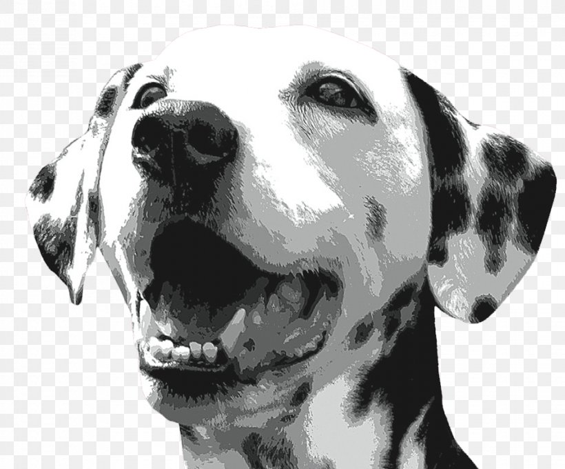 Dalmatian Dog Canidae Bark Dog Breed Companion Dog, PNG, 942x782px, Dalmatian Dog, Animal, Bark, Black And White, Breed Download Free