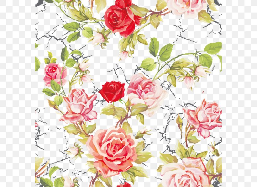 Garden Roses Centifolia Roses Flower Pattern, PNG, 596x596px, Garden Roses, Artificial Flower, Centifolia Roses, Cut Flowers, Flora Download Free