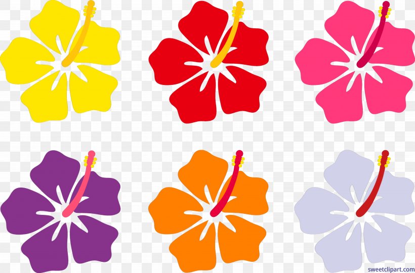Hawaiian Hibiscus Flower Hawaiian Hibiscus Clip Art, PNG, 8230x5425px, Hawaii, Cartoon, Drawing, Flora, Floral Design Download Free