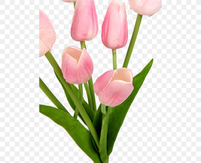 Tulip Pink Flower Bouquet Floristry Cut Flowers, PNG, 500x667px, Tulip, Cut Flowers, Floristry, Flower, Flower Bouquet Download Free