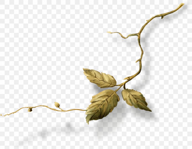 Twig Plant Stem Leaf, PNG, 1074x831px, Twig, Branch, Leaf, Plant, Plant Stem Download Free