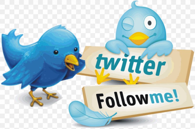 Twitter Image Graphics Photograph Like Button, PNG, 1670x1111px, Twitter, Beak, Bird, Information, Jack Dorsey Download Free