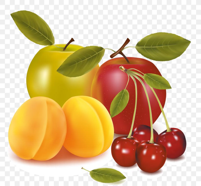 Vector Graphics Fruit Clip Art Apple Illustration, PNG, 768x760px, Fruit, Acerola, Acerola Family, Apple, Berry Download Free