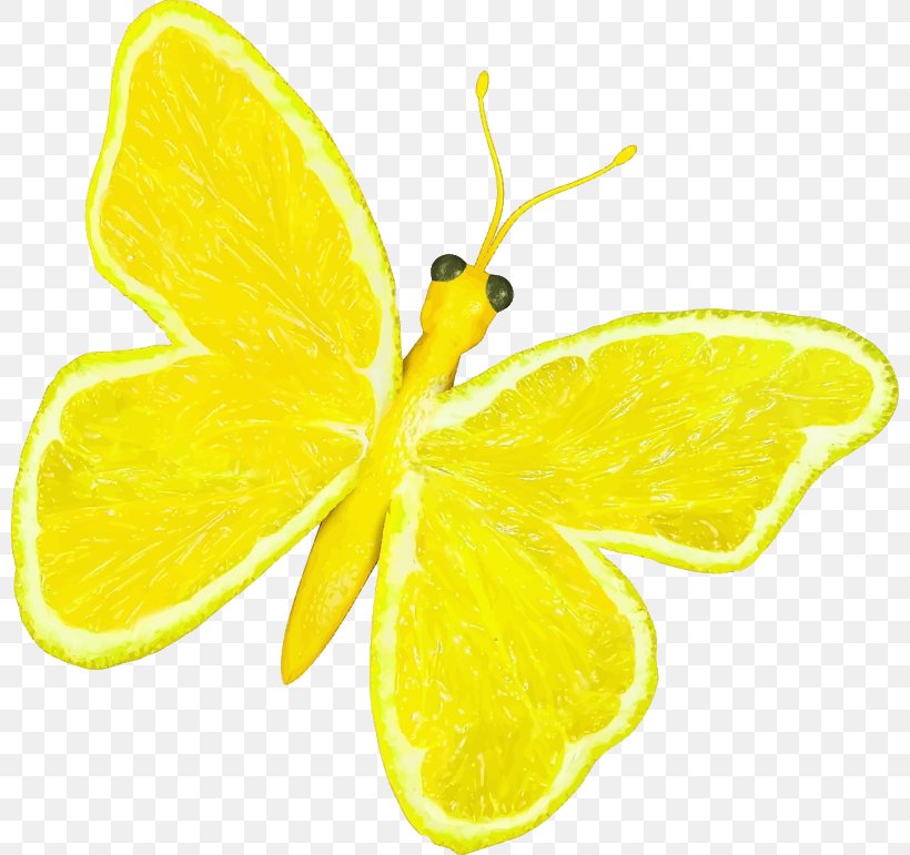 Butterfly Lemon Orange Fruit Clip Art, PNG, 800x771px, Butterfly, Brush Footed Butterfly, Citric Acid, Citrus, Food Download Free