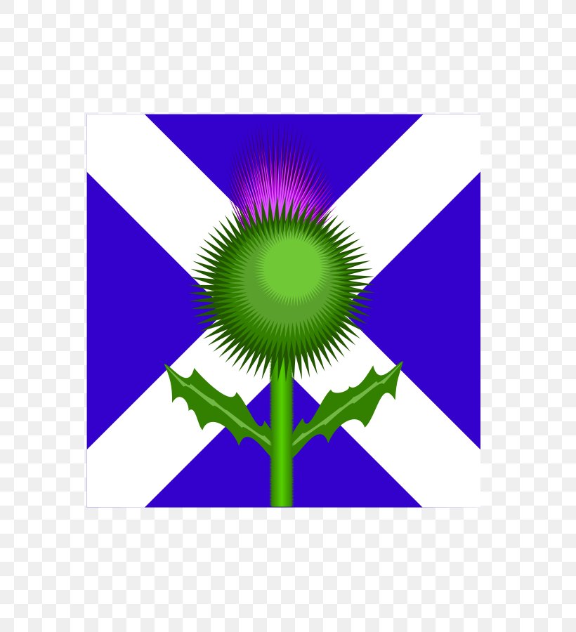 Flag Of Scotland Thistle Clip Art, PNG, 637x900px, Scotland, Energy, Flag, Flag Of Scotland, Flag Of The United Kingdom Download Free