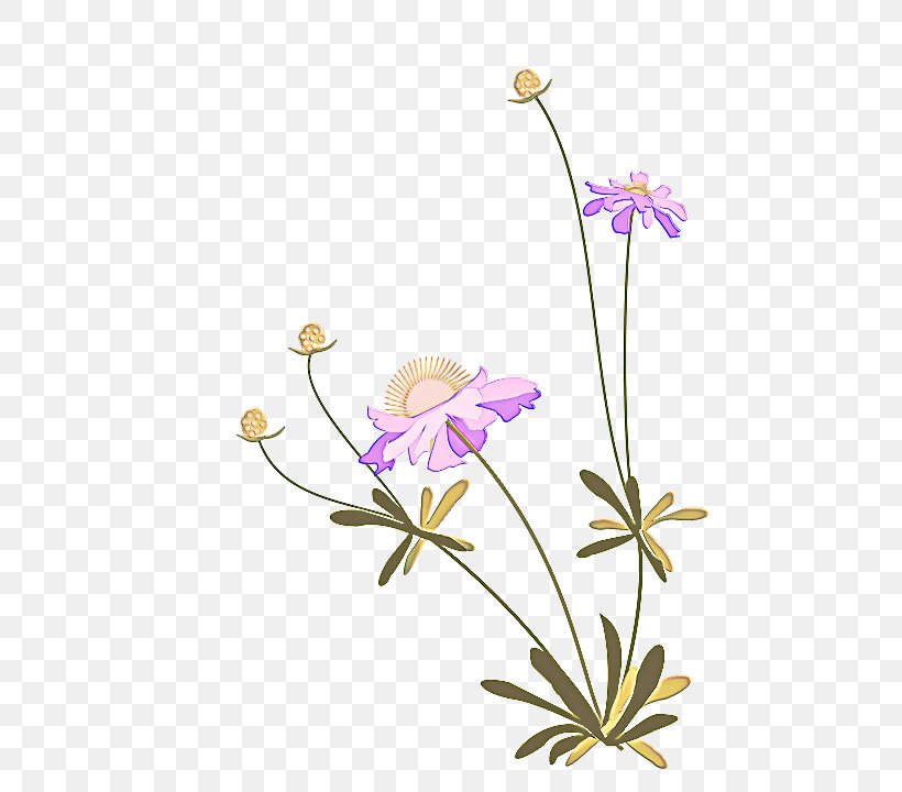 Flower Flowering Plant Plant Petal Pedicel, PNG, 534x720px, Flower, Flowering Plant, Japanese Anemone, Pedicel, Petal Download Free