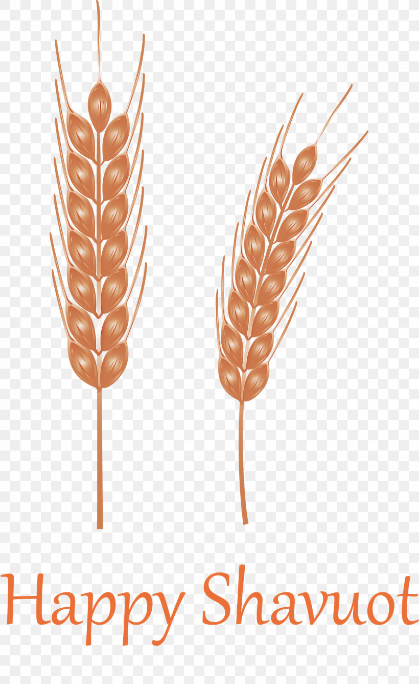 Happy Shavuot Shavuot Shovuos, PNG, 1958x3191px, Happy Shavuot, Feather, Food Grain, Grass Family, Plant Download Free