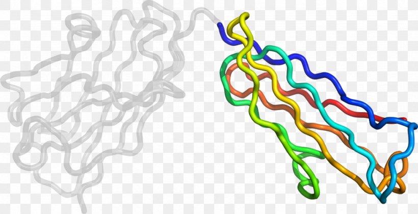 Organism Line Clip Art, PNG, 974x500px, Organism, Area Download Free