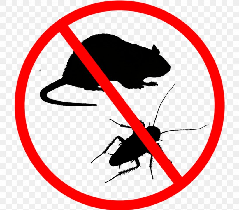 Rodent Pest Vermin Van Nuys Clip Art, PNG, 1000x881px, Rodent, Animal, Area, Artwork, Black And White Download Free