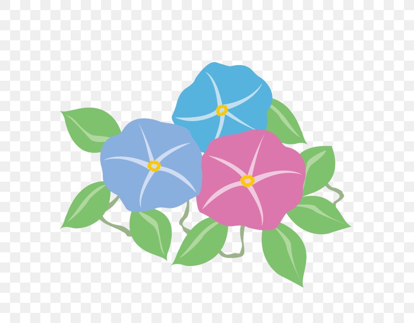 Tokushima Shiritsu Nyuta Junior High School Japanese Morning Glory Illustration Summer Flower, PNG, 640x640px, Japanese Morning Glory, Book Illustration, Child, Flora, Floral Design Download Free