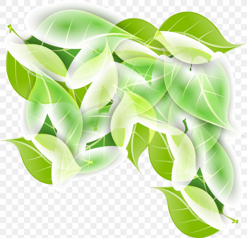 Leaf Branch, PNG, 2000x1927px, Leaf, Branch, Green, Organism, Plant Download Free