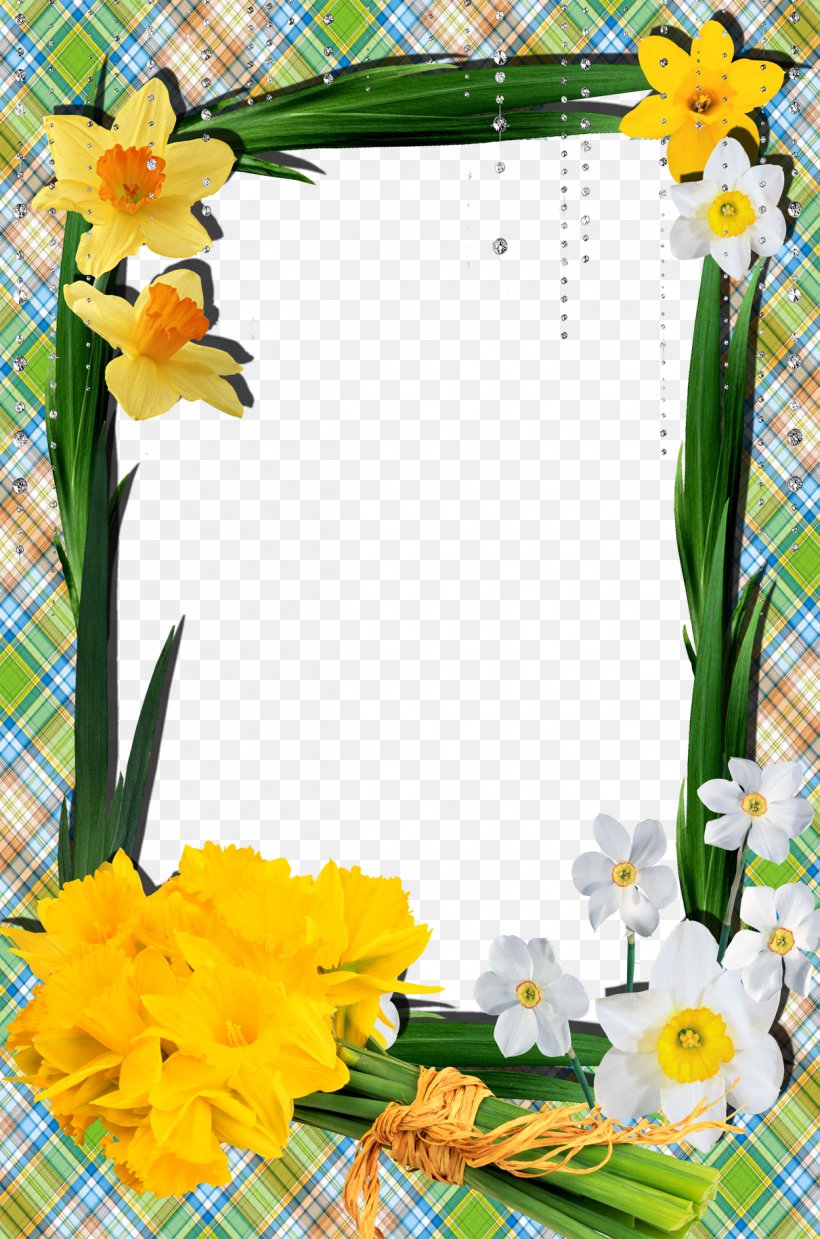 Narcissus Tazetta No Picture Frame, PNG, 1211x1831px, Narcissus Tazetta, Copyrightfree, Cut Flowers, Daffodil, Flora Download Free