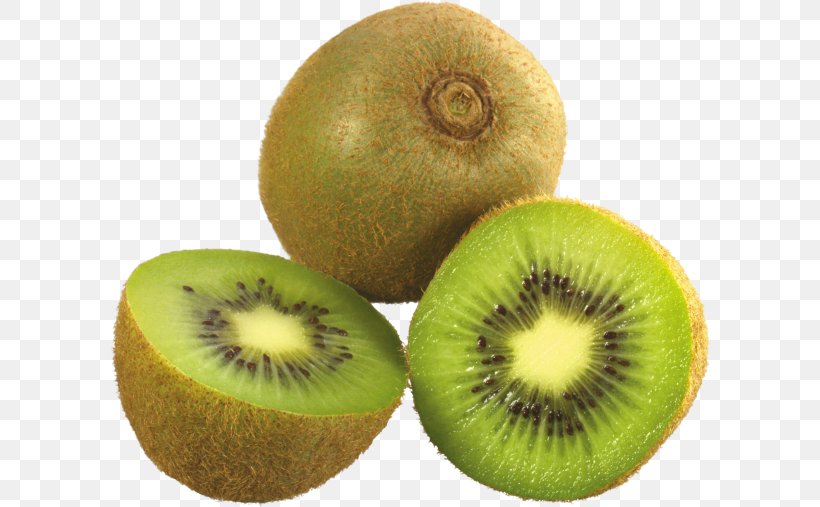 Kiwifruit Image Clip Art Vector Graphics, PNG, 600x507px, Kiwifruit, Drawing, Food, Fruit, Hardy Kiwi Download Free
