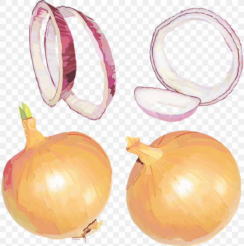 Yellow Onion Vegetable Onion Plant Allium, PNG, 2974x3000px, Watercolor, Allium, Amaryllis Family, Food, Onion Download Free