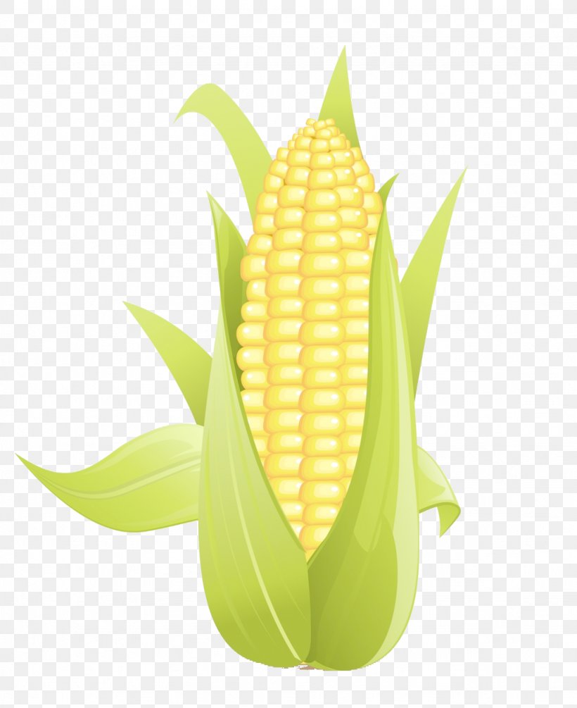Corn On The Cob Maize Field Corn Clip Art, PNG, 1024x1256px, Corn On The Cob, Commodity, Corn Starch, Corncob, Drawing Download Free