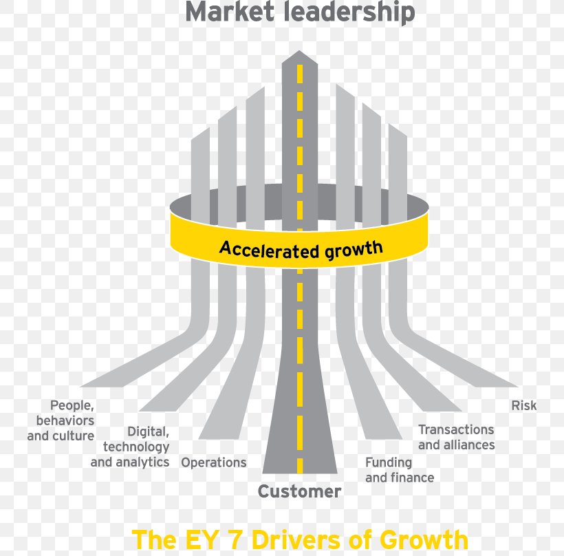 Ernst & Young, Papua New Guinea Ernst & Young Entrepreneur Of The Year Award Accountant Service, PNG, 740x808px, Ernst Young, Accountant, Brand, Diagram, Economic Development Download Free