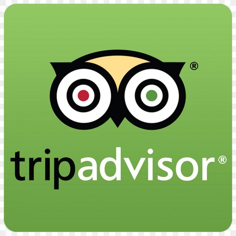 Owl TripAdvisor Interactive Luggage Tag Logo Brand Baggage, PNG, 1056x1056px, Owl, Bag Tag, Baggage, Beak, Bird Download Free