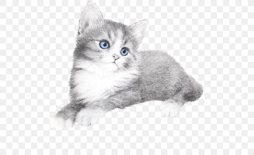 Blog Cat, PNG, 500x500px, Blog, American Wirehair, Black And White, Carnivoran, Cat Download Free