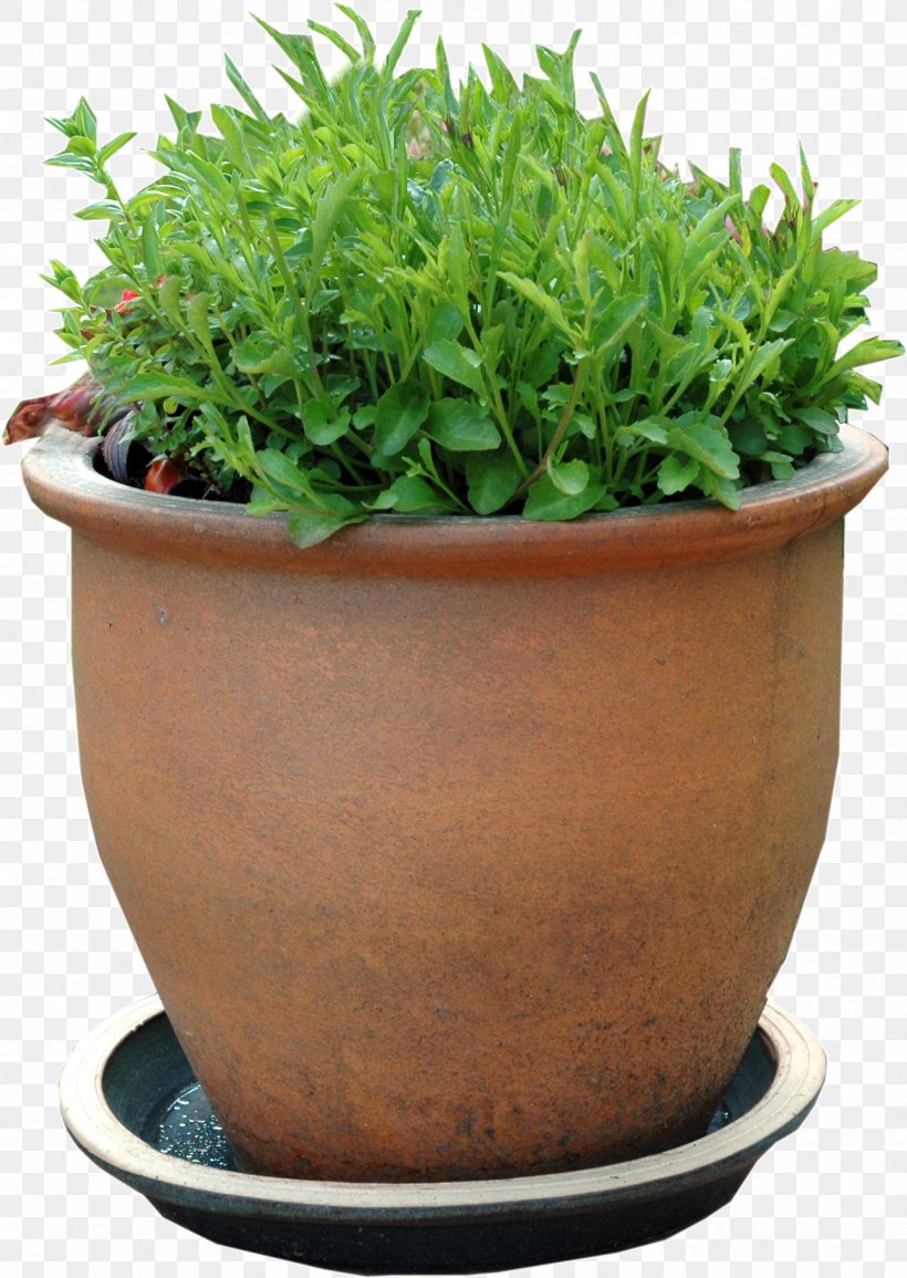 Houseplant Flowerpot Garden Centre, PNG, 1285x1810px, Plant, Bench, Cut Flowers, Cutting, Fern Download Free