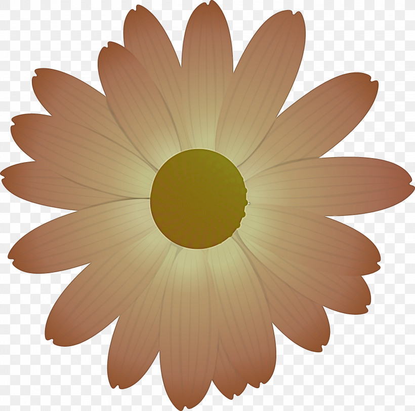 Marguerite Flower Spring Flower, PNG, 3000x2970px, Marguerite Flower, Asterales, Camomile, Chamomile, Daisy Download Free